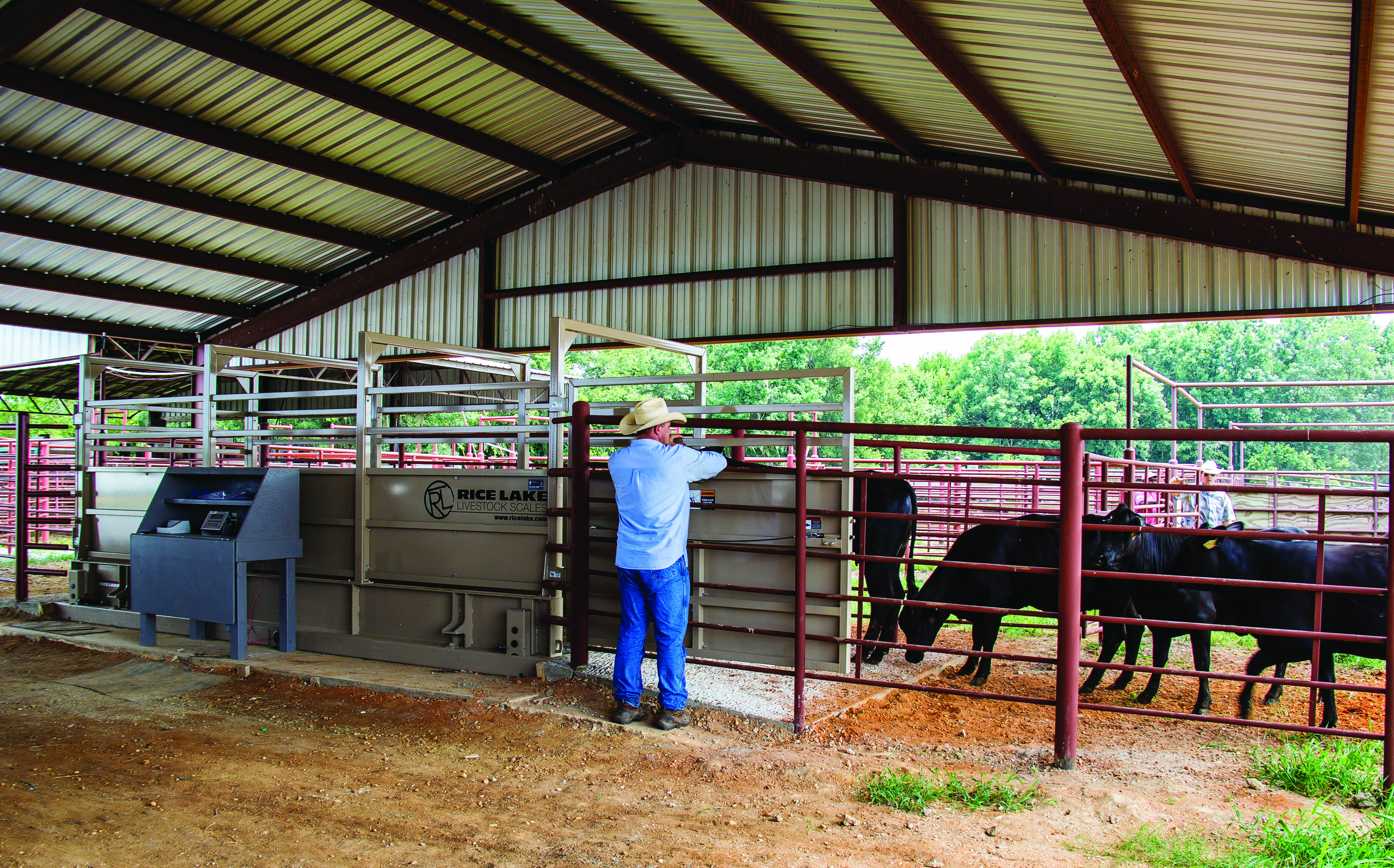 2011 MAS LC App Scaleindicator