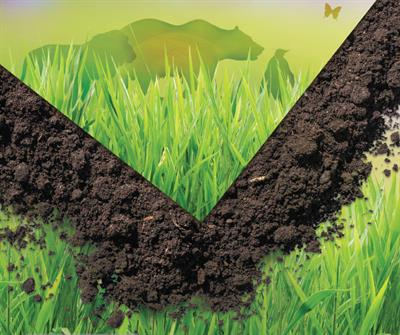 Rice Lake Red Goes Green Tn