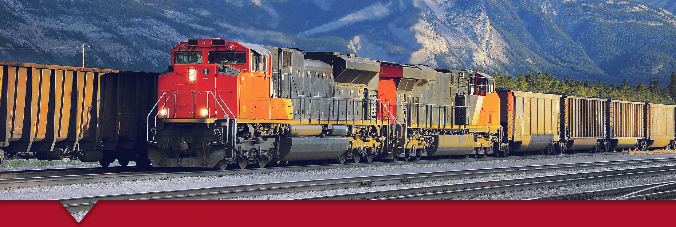 1 WEB Header Whatrailscaledoineed