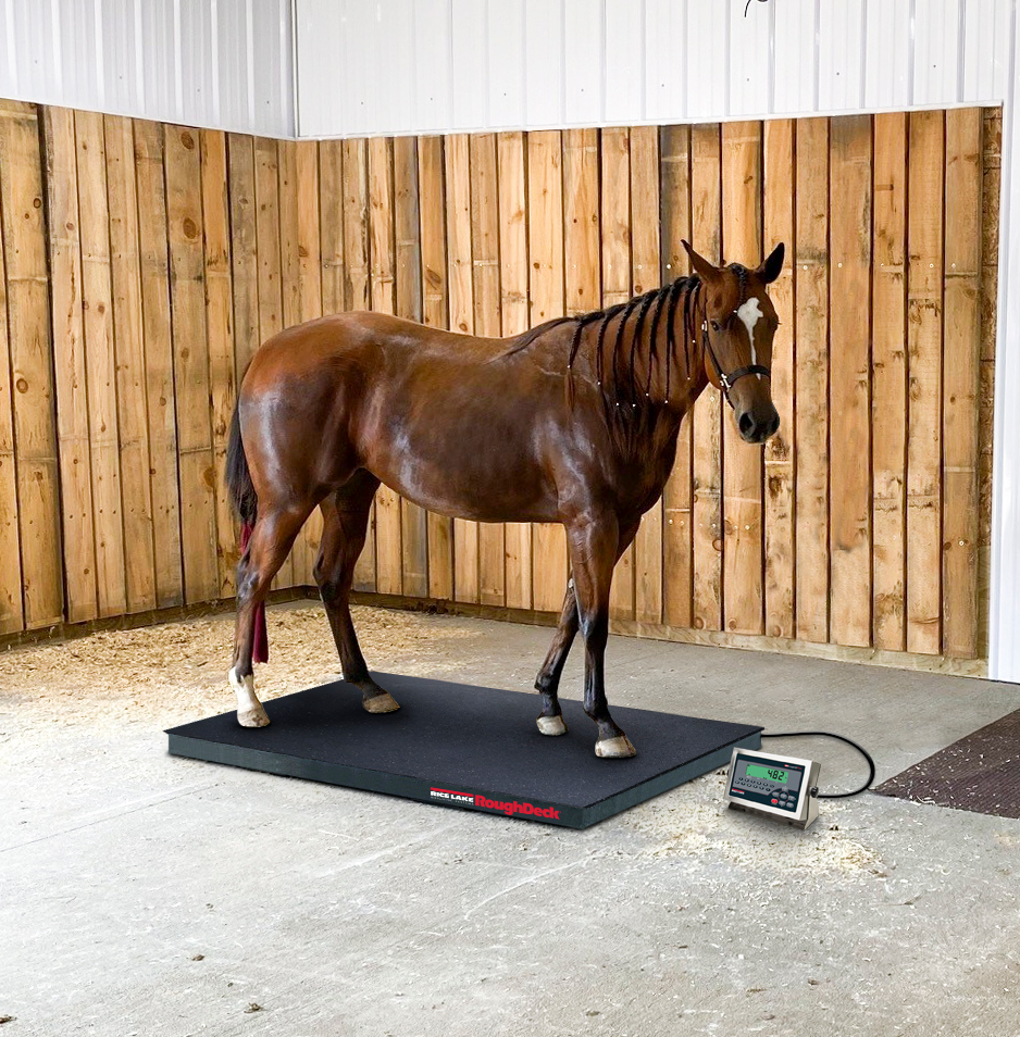 1 US APP Roughdeck EQ Juliet (1)