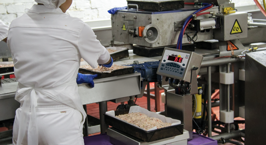 1 WEB Static Chicken