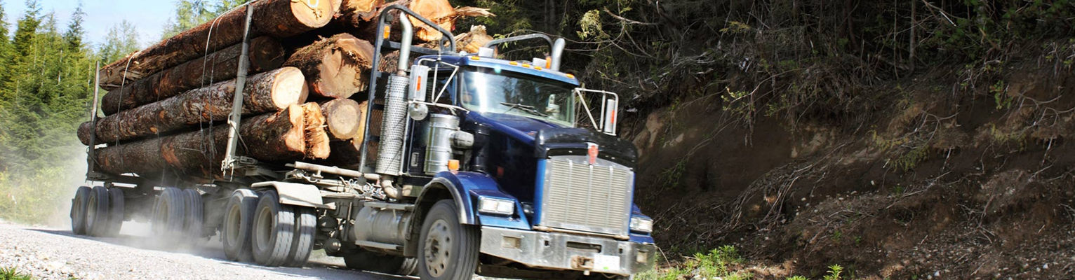 Industries Detail Products Tab 10 A Forestry