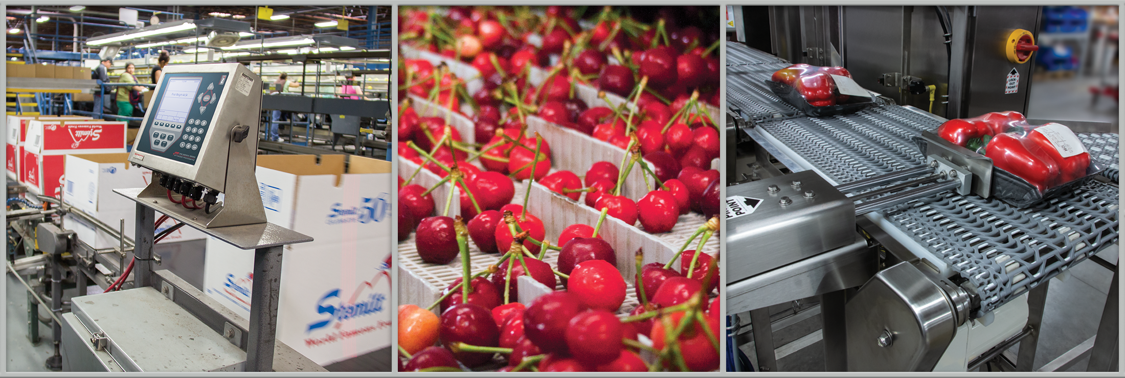 WEB Header Static Inmotion Checkweighing (1)