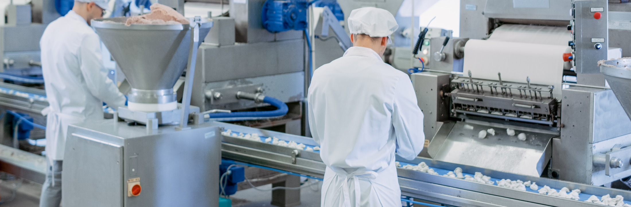 1 WEB Foodprocessing 2200