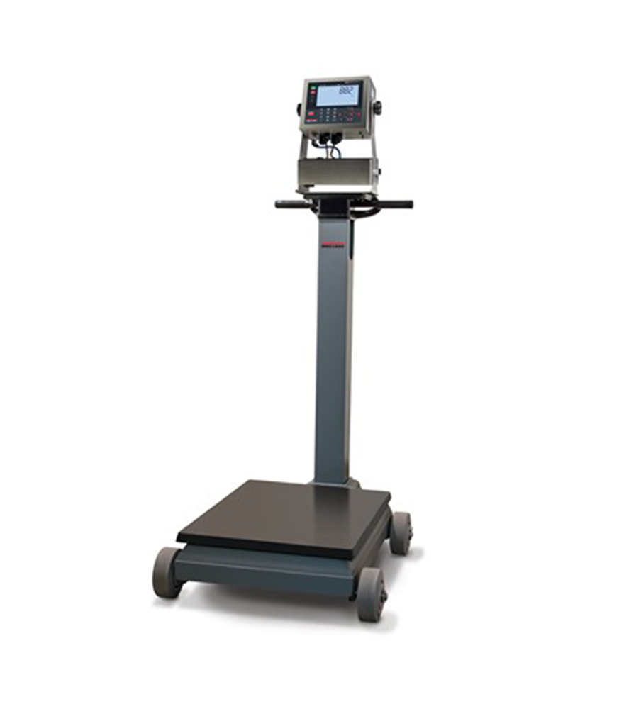 RL-RL1200-IS-Electromechanical-Portable-Beam-Scale