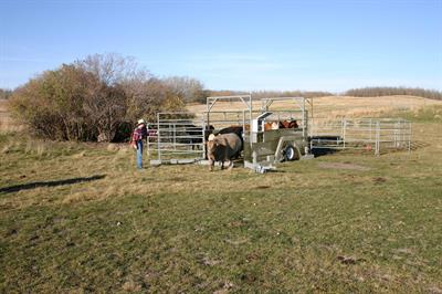 1 App Mobilelivestock Lr