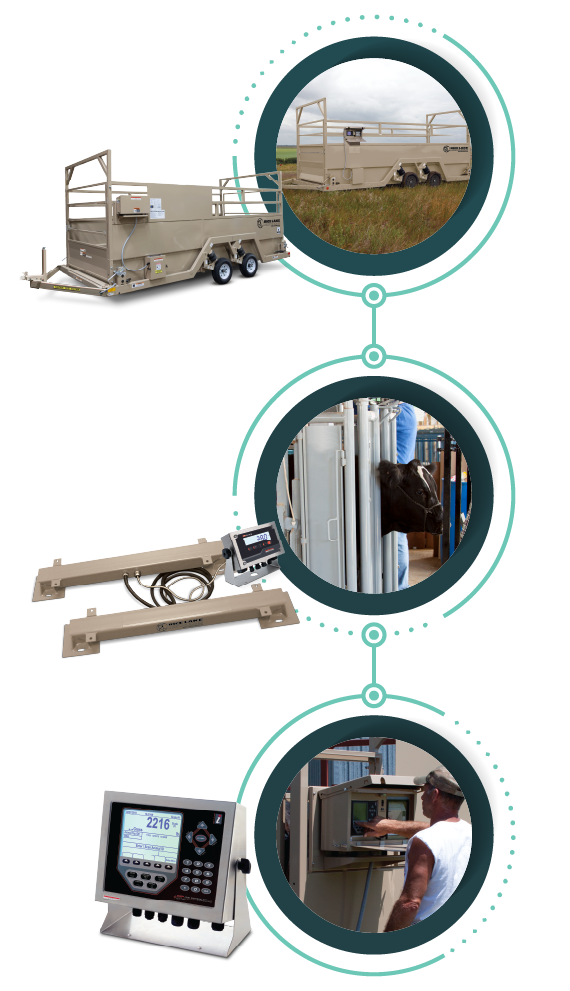 1 US Cattlecon RLWS Products