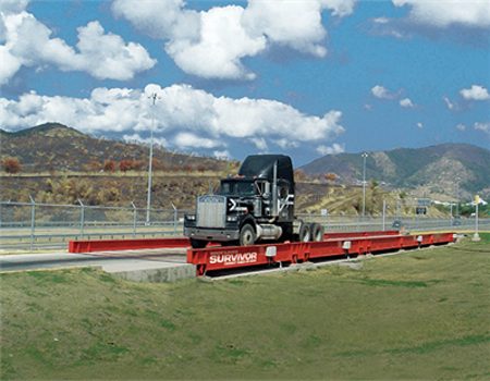 Lit Us 173029 Buyersguide Section4