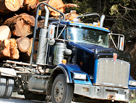Forestry Industry
