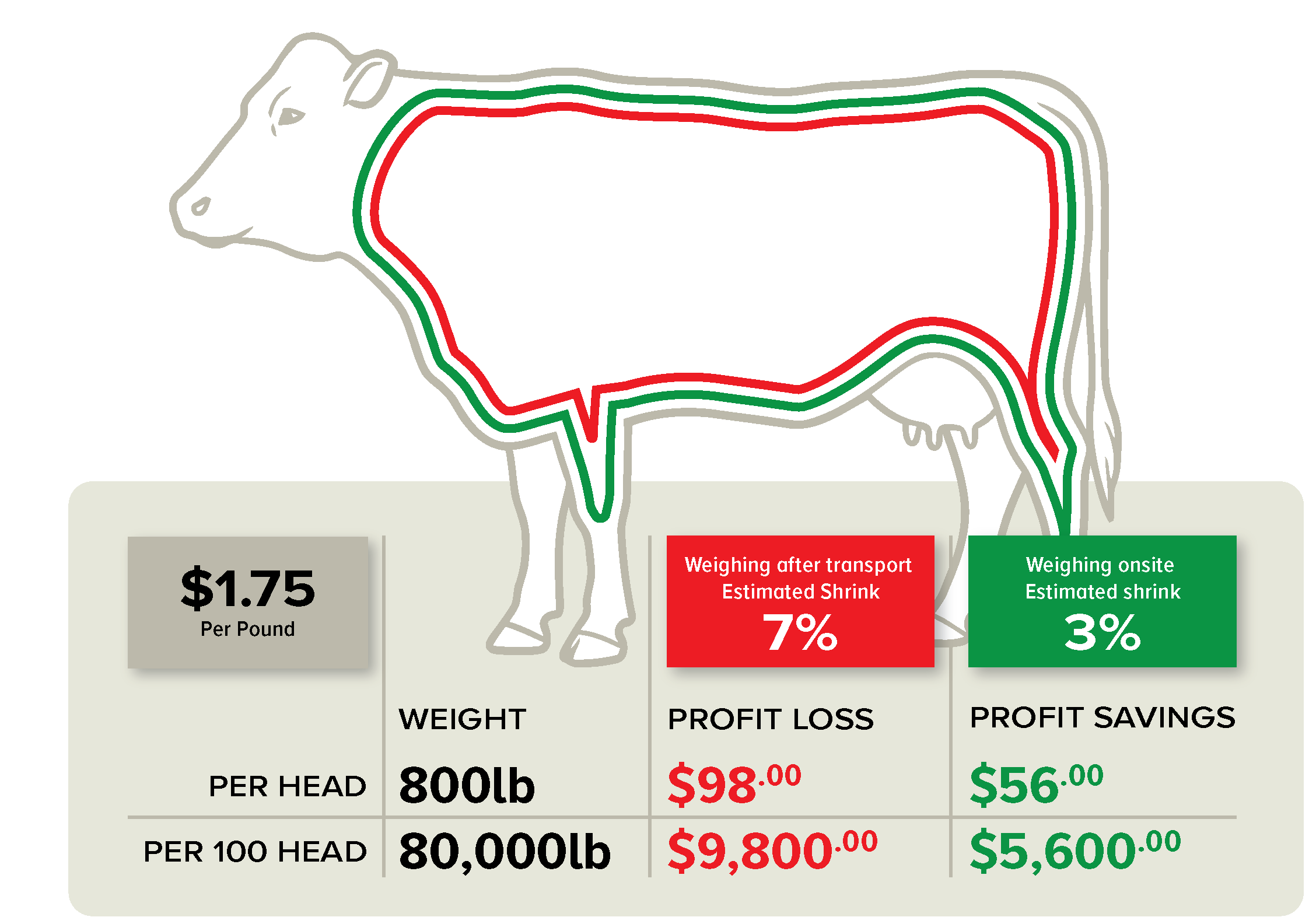WEB Shrink Side Cow 3