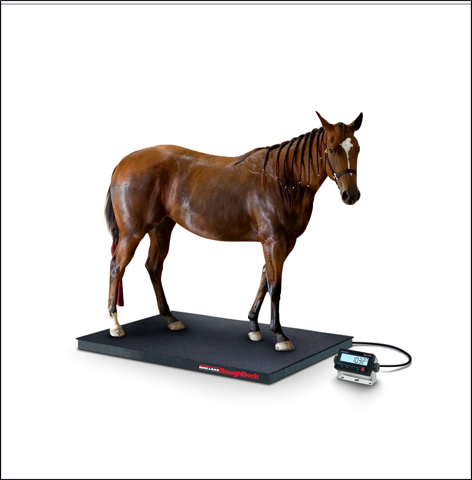 1 US Roughdeck EQ 381