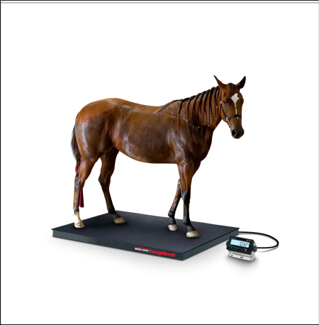 1 US Roughdeck EQ 381