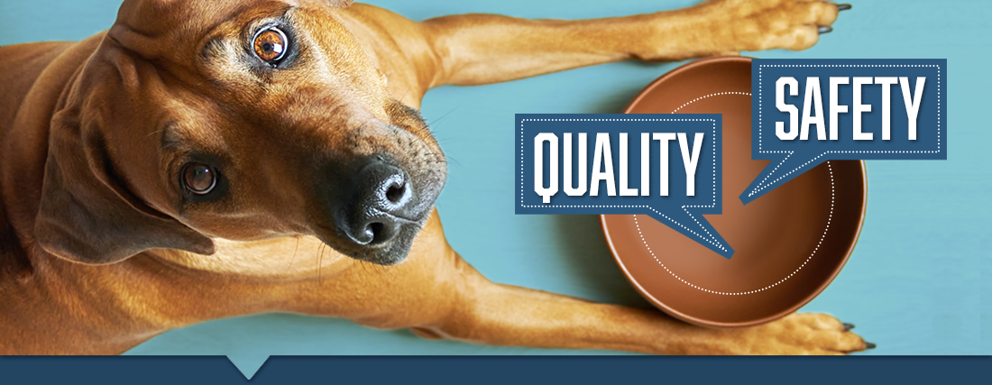 1 WEB Petfood Header 2200X856 2