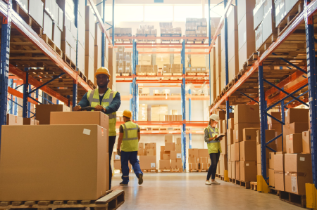 1 WEB Card Parceldimensioning